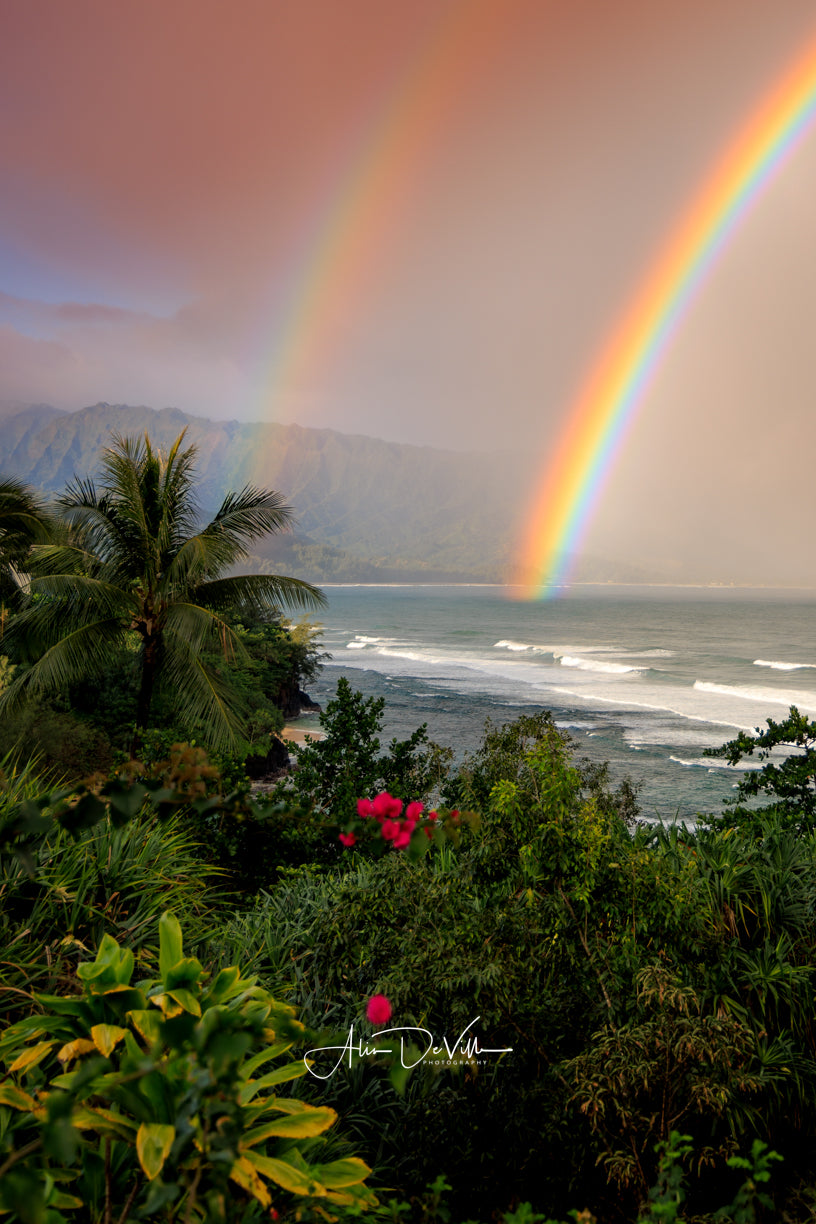 Tropical Hanalei Magic