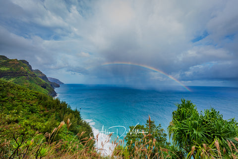 Nā Pali Trail Beauty ~ Fine Art Prints