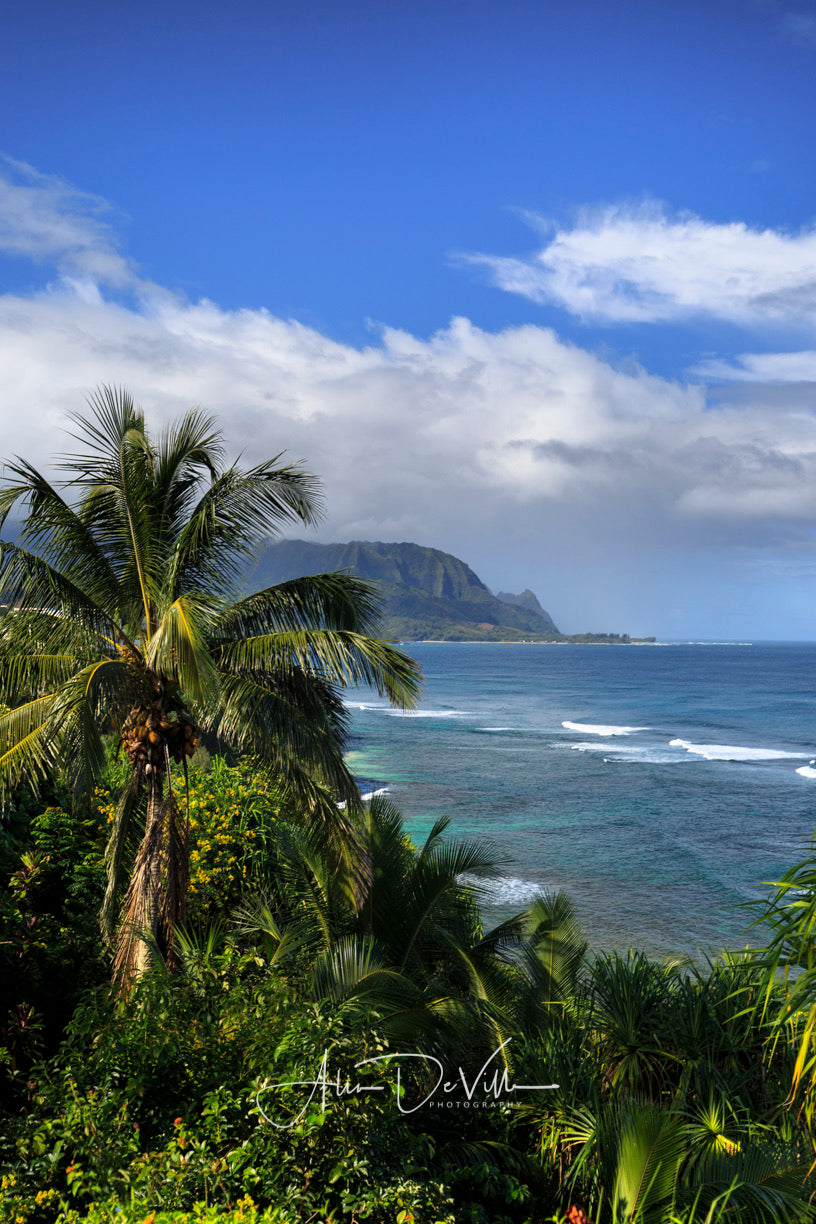 Hues of Paradise ~ Fine Art Prints