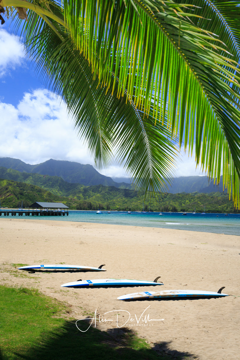 Hanalei Surfboards ~ Fine Art Prints