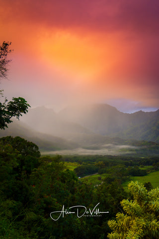 Heart of Hanalei ~ Fine Art Prints