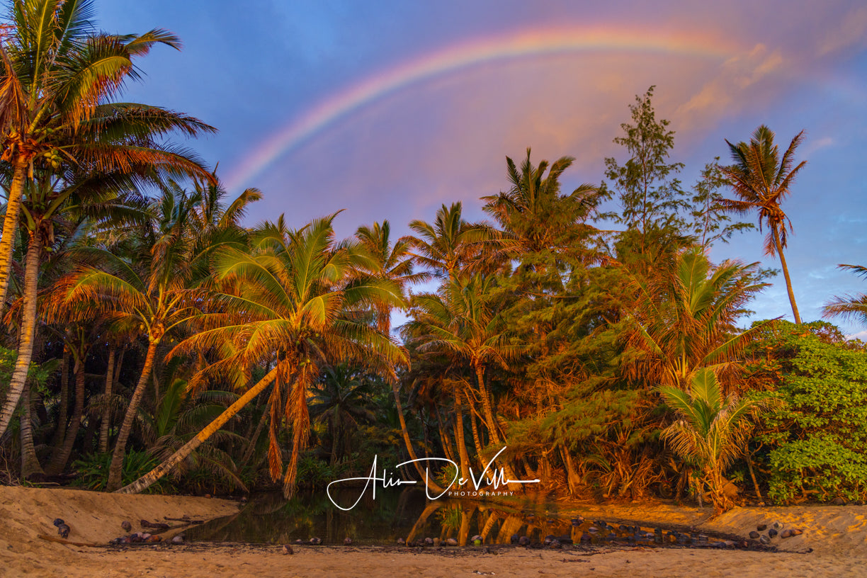 Where Dreams are Made ~ Fine Art Prints