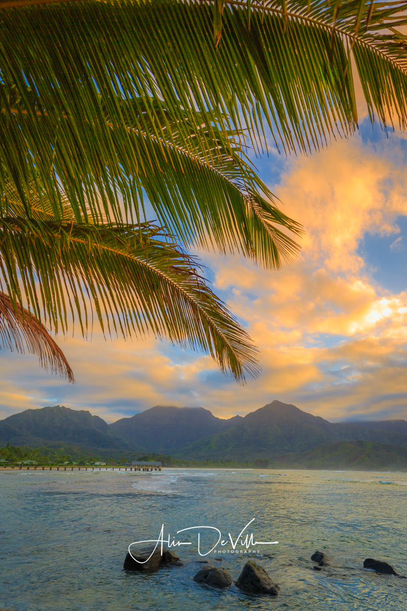 Hanalei Palms ~ Fine Art Prints
