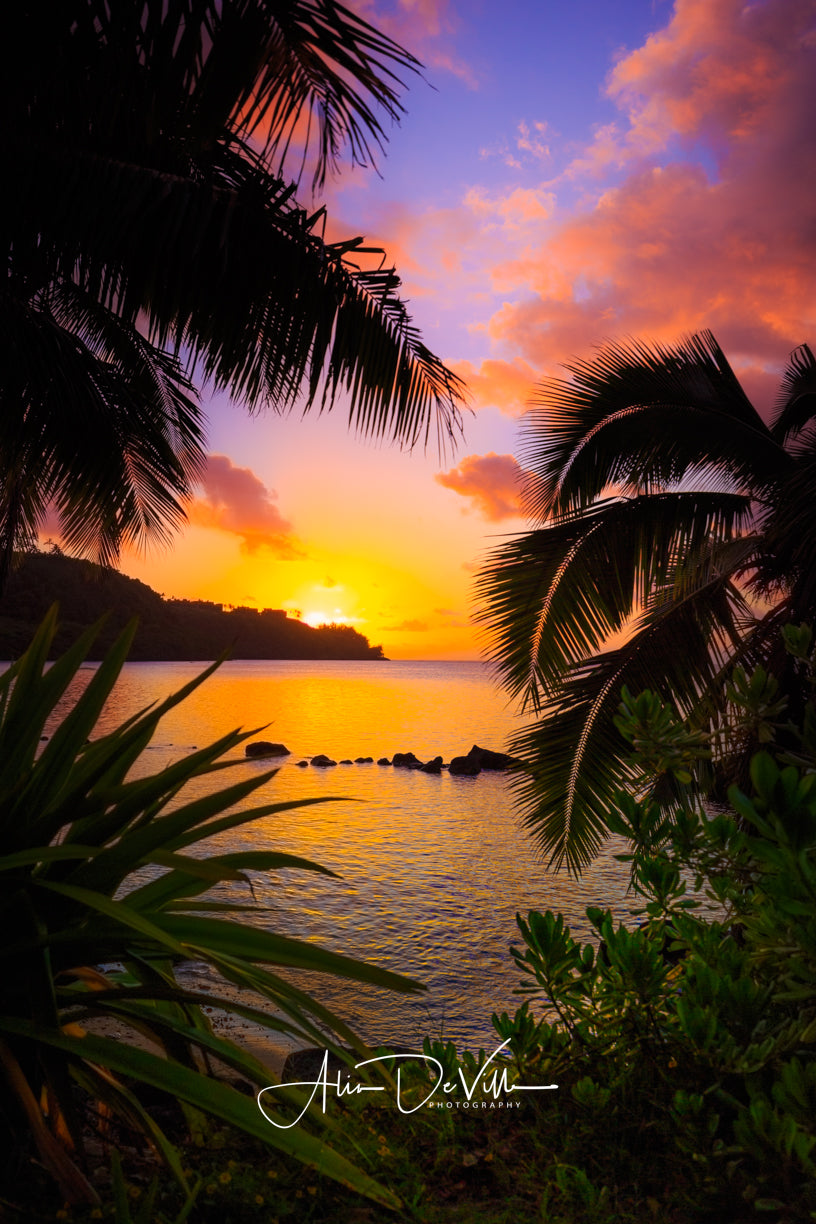Taste of Aloha ~ Fine Art Prints