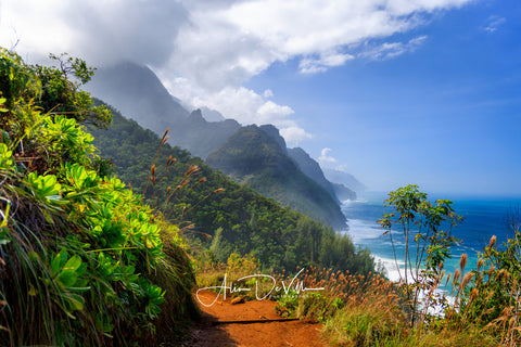 Hanakapi’ai Trail ~ Fine Art Prints