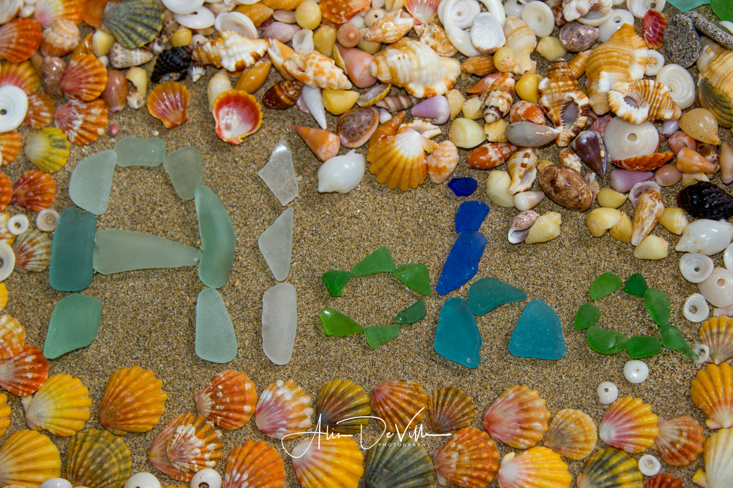 Aloha Shells ~ Fine Art Prints