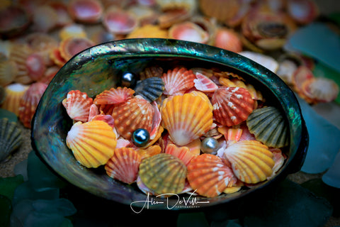 Ocean Treasure ~ Fine Art Prints