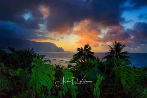 Makana & Monsteras ~ Fine Art Prints