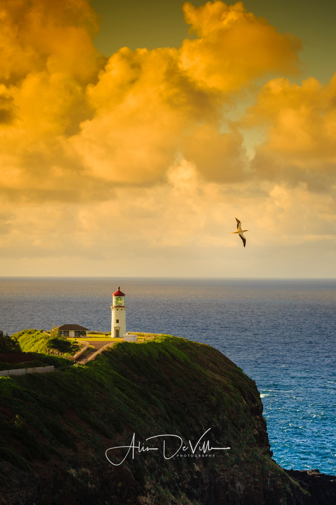 Kilauea Lighthouse ~ Fine Art Prints
