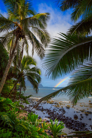 Hideaway Rainbow View   ~ Fine Art Prints