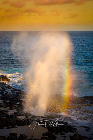 Spouting Rainbows ~ Fine Art Prints