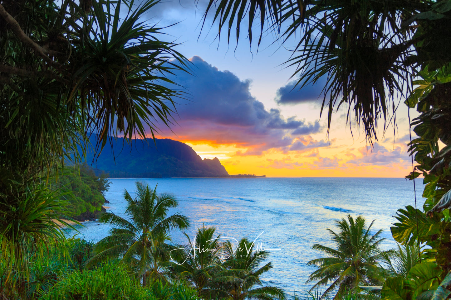 Makana Jungle Views ~ Fine Art Prints