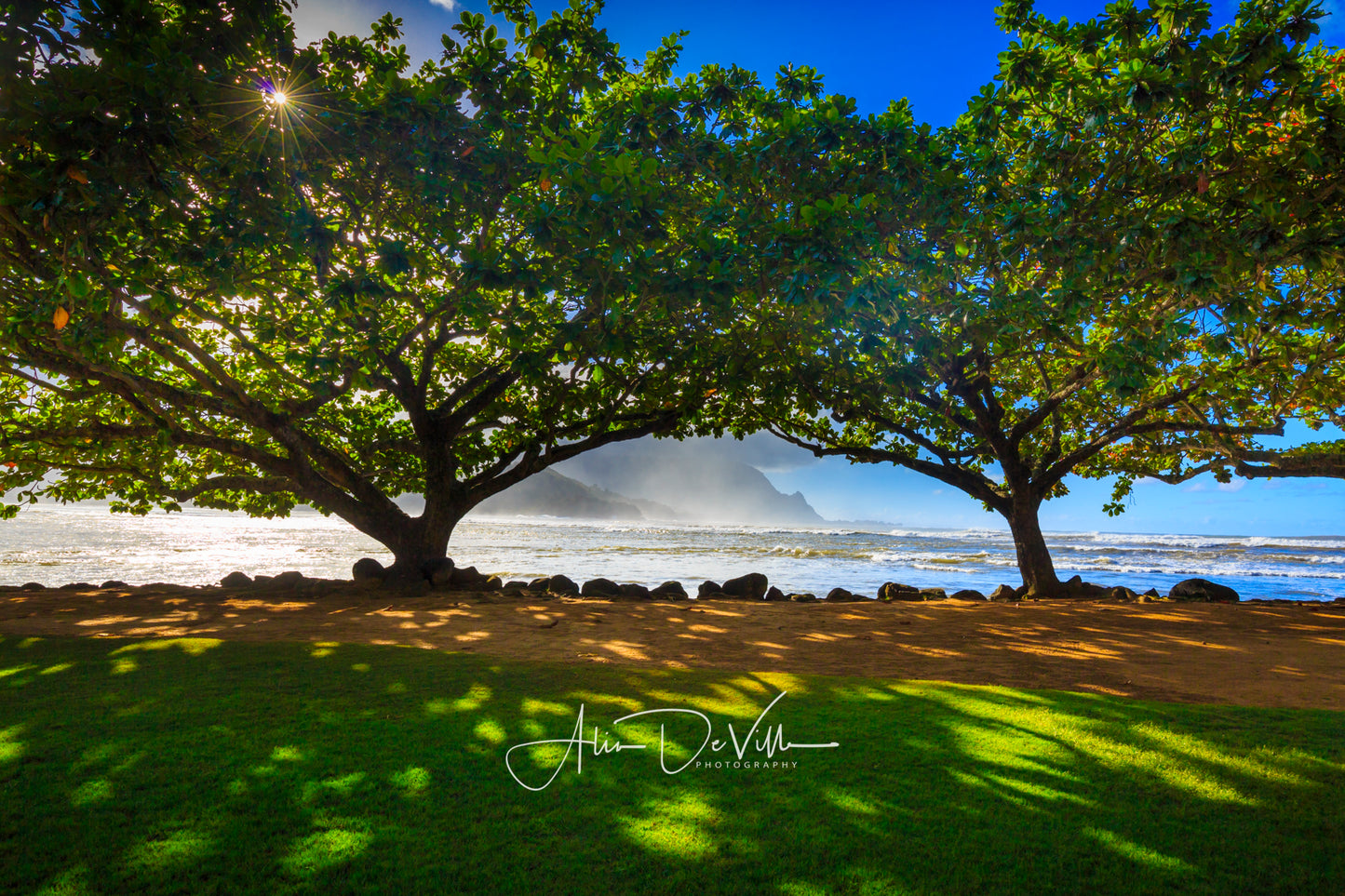 Kamani Shadows ~ Fine Art Prints