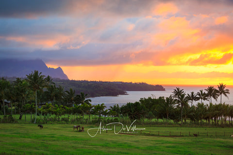 Kaua'i Sunset ~ Fine Art Prints