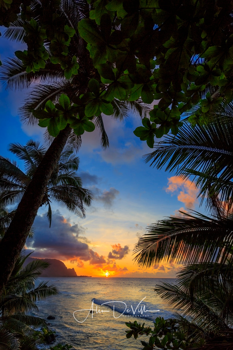 Makana Last Light Glow ~ Fine Art Prints
