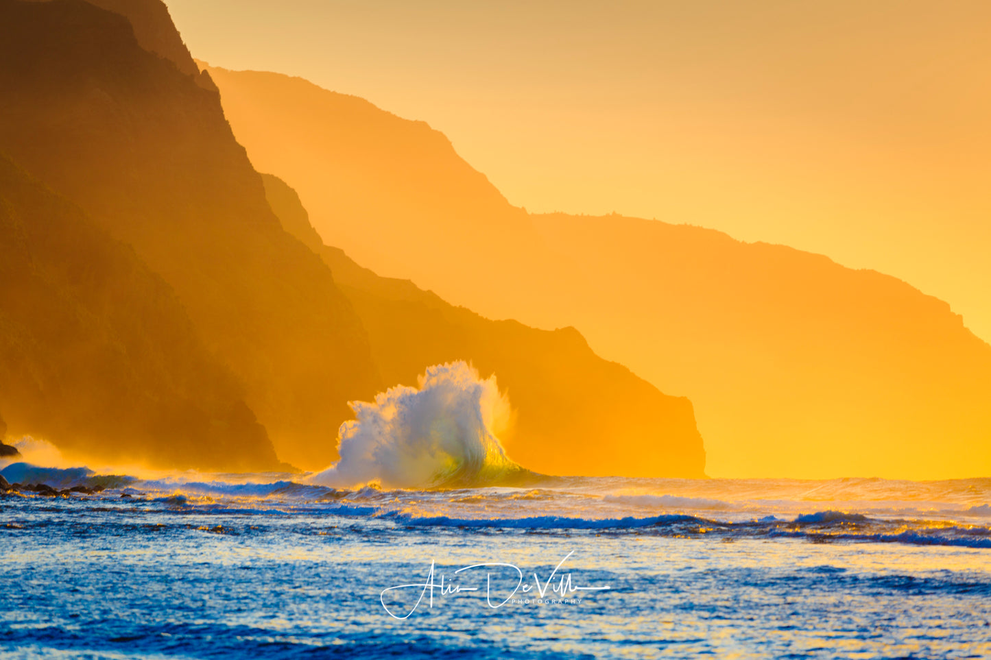 Splash of Gold ~ Fine Art Prints