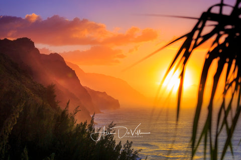 Taste of Paradise ~ Fine Art Prints