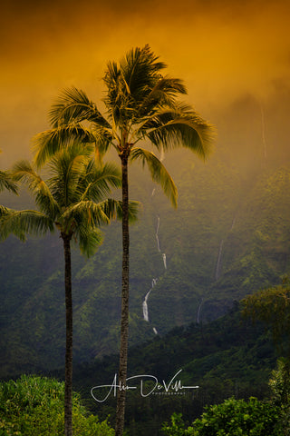 Palm Trees & Waterfalls ~ Fine Art Prints