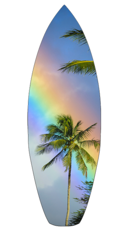 Rainbow Palm Tree