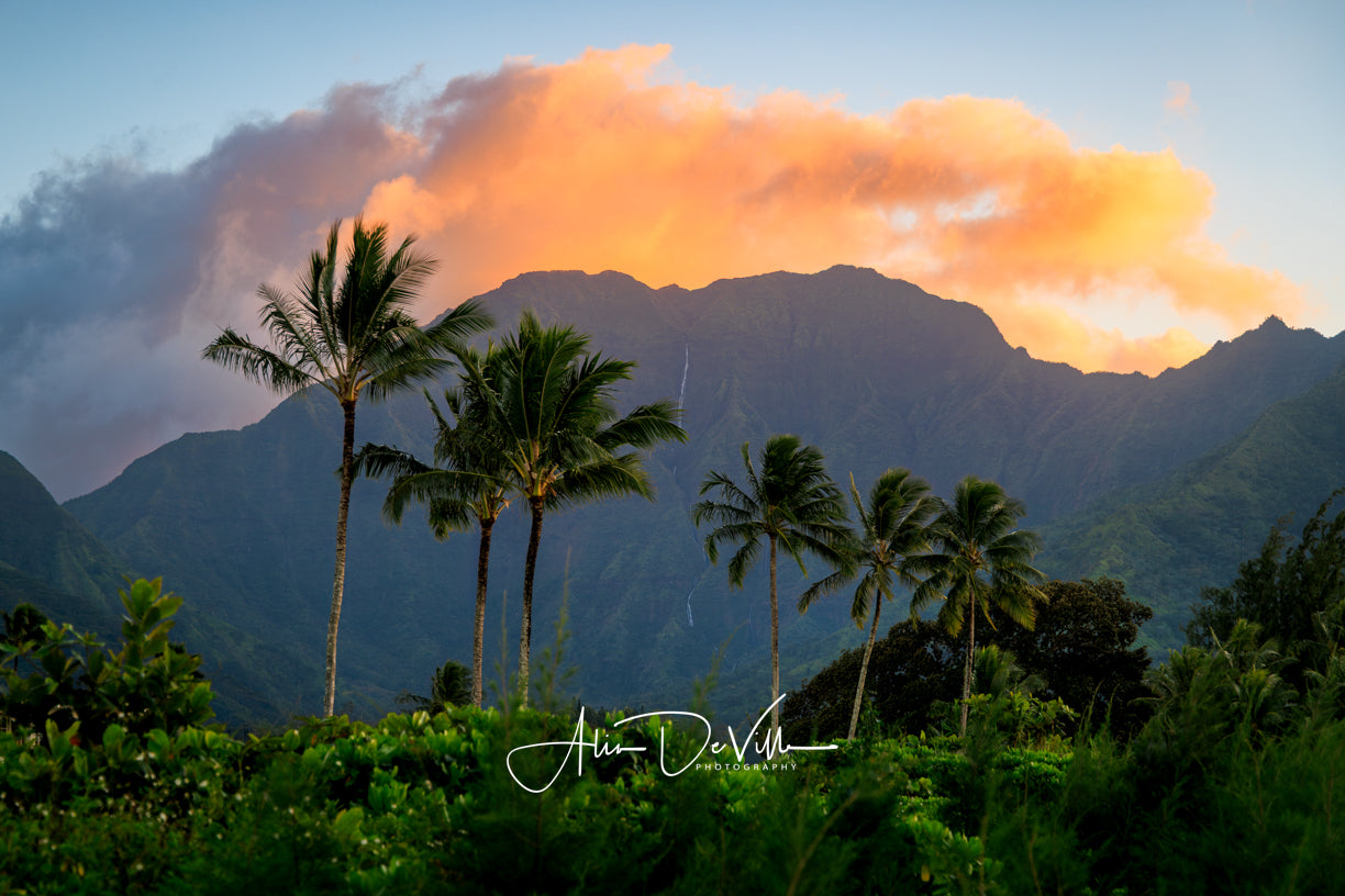 Halale'a ~ Hanalei-Kilauea