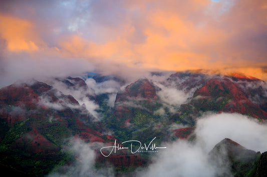Waimea Mountain Magic
