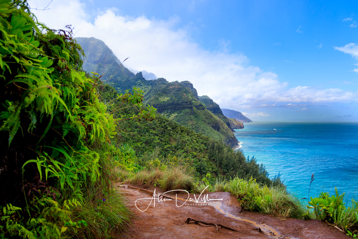 Na Pali Coast Beauty ~ Fine Art Prints