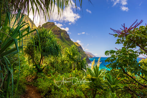 Trail to Paradise  ~ Fine Art Prints