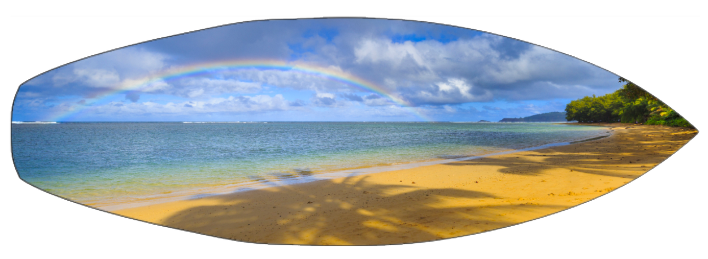 Anini Palm Tree Rainbow