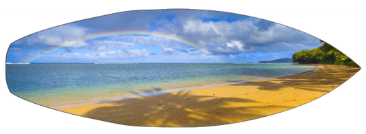 Anini Palm Tree Rainbow