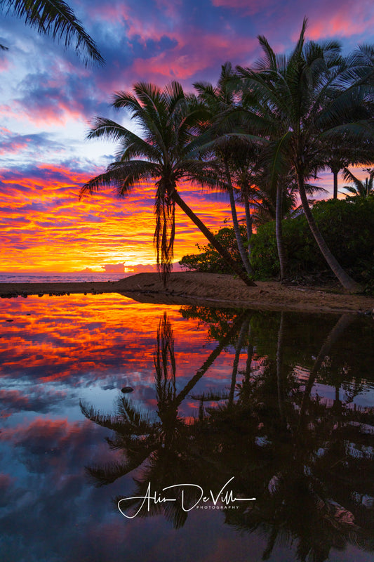 Sunrise Glory ~ Fine Art Prints