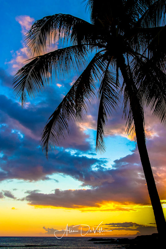 Tropical Breeze ~ Fine Art Prints