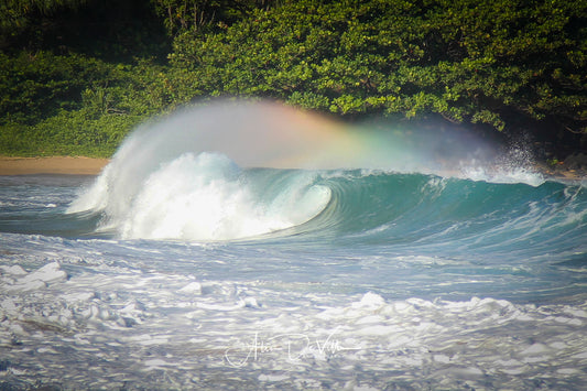 Rainbow Spray ~ Fine Art Prints