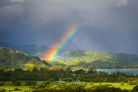 Rainbow Vibrance ~ Fine Art Prints