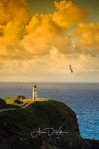 Kilauea Lighthouse  ~ Fine Art Prints