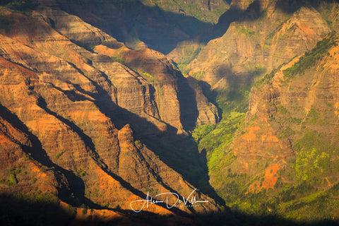 Waimea Canyon Reds ~ Fine Art Prints