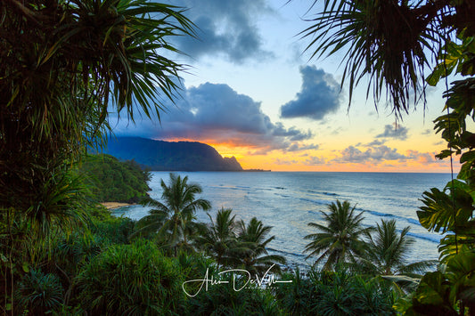 Hideaway Jungle View ~ Fine Art Prints