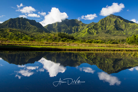 Hanalei Reflections  ~ Fine Art Prints