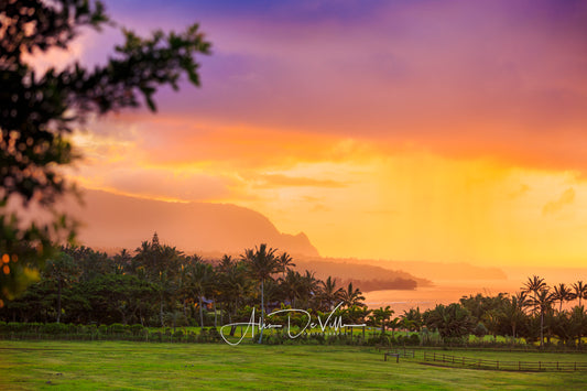 Nature's Brilliance ~ Fine Art Prints