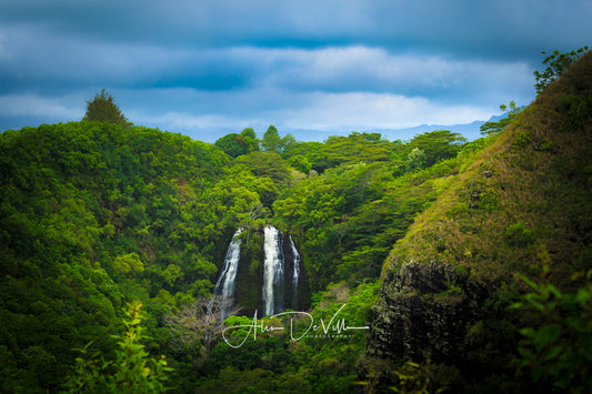 Opaeka'a Falls ~ Fine Art Prints