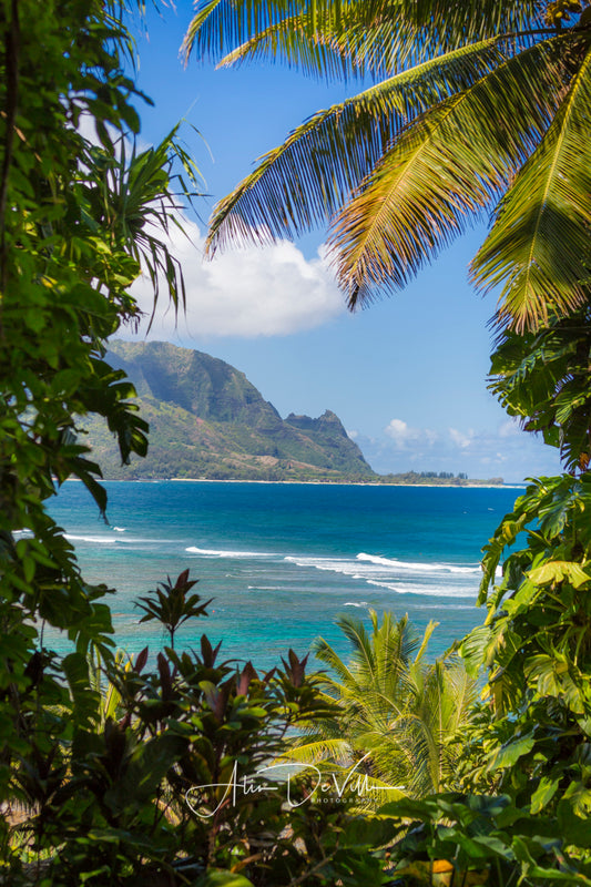 A Slice of Island Paradise   ~ Fine Art Prints