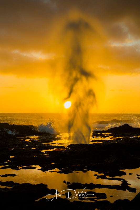 Orange Spray ~ Fine Art Prints