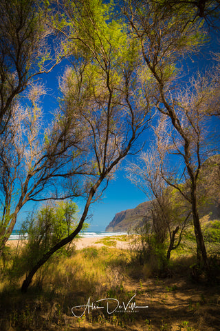 Blues and Greens of Polihale ~ Fine Art Prints