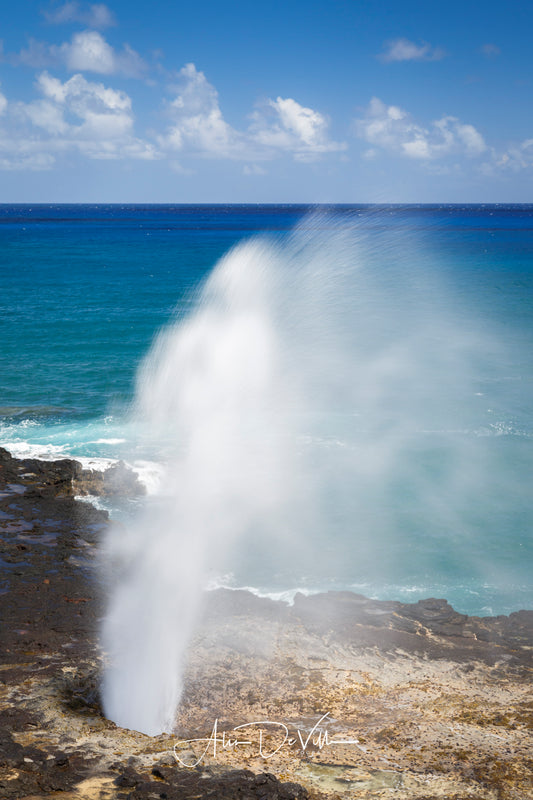 Spouting Horn ~ Fine Art Prints