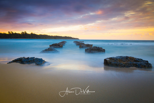 Pastel Allure  ~ Fine Art Prints