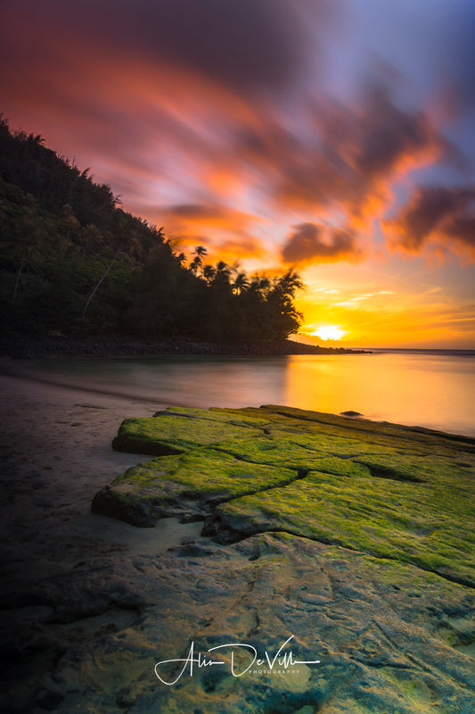 Painted Paradise ~ Fine Art Prints