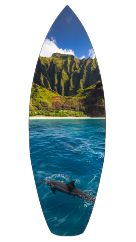 Kalalau Dolphin